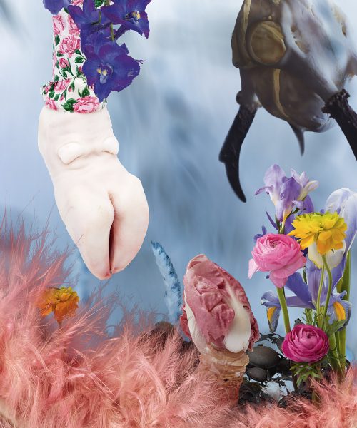 Christina Paetsch, Puna Bay 2018